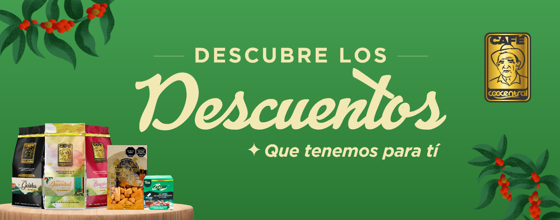 BANNER PROMOS FEB 2026