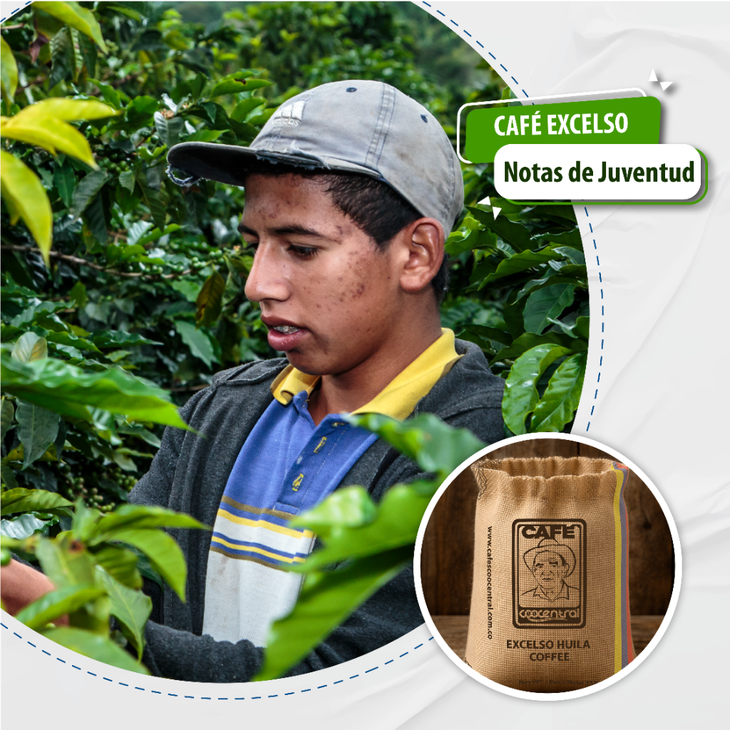 CAFÉ EXCELSO NATURAL - Café Coocentral