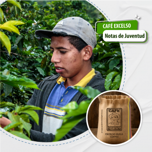 CAFÉ EXCELSO NATURAL_1