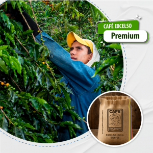 CAFÉ EXCELSO PREMIUM_1